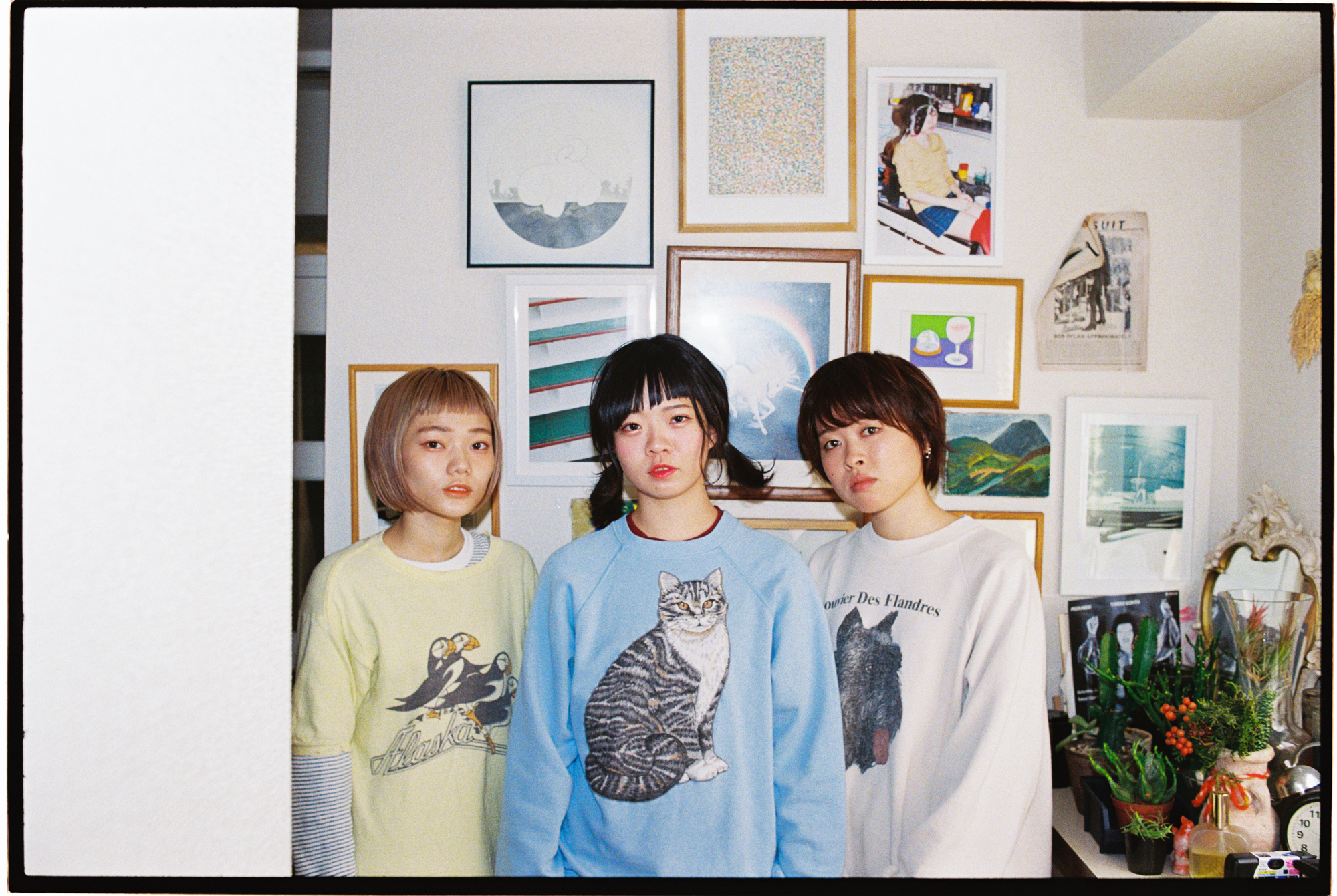 SHISHAMO ニュービジュアル公開!!!｜SHISHAMO Official Website